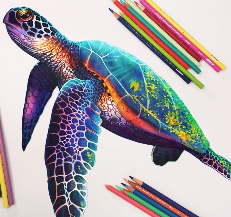 40 Beautiful Colored Pencil Drawings - Colored Pencil Art - HARUNMUDAK
