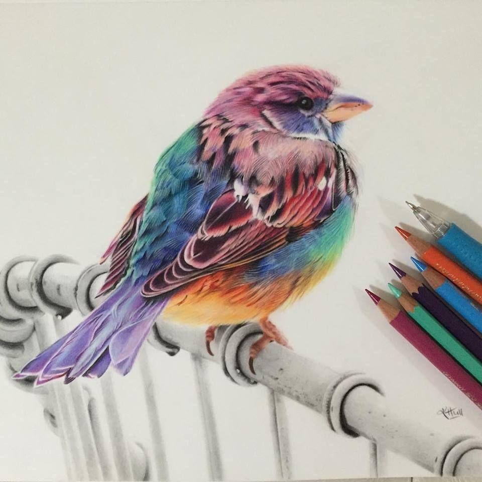 40 Beautiful Colored Pencil Drawings - Colored Pencil Art - HARUNMUDAK