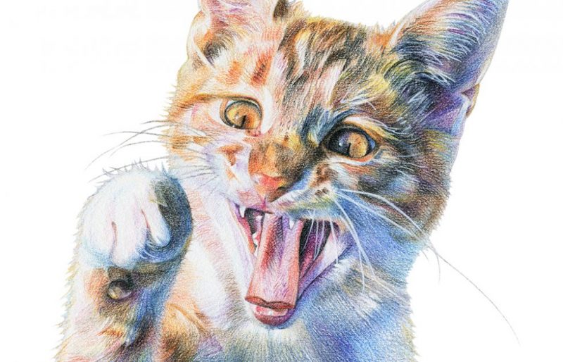 40 Beautiful Colored Pencil Drawings Colored Pencil Art HARUNMUDAK