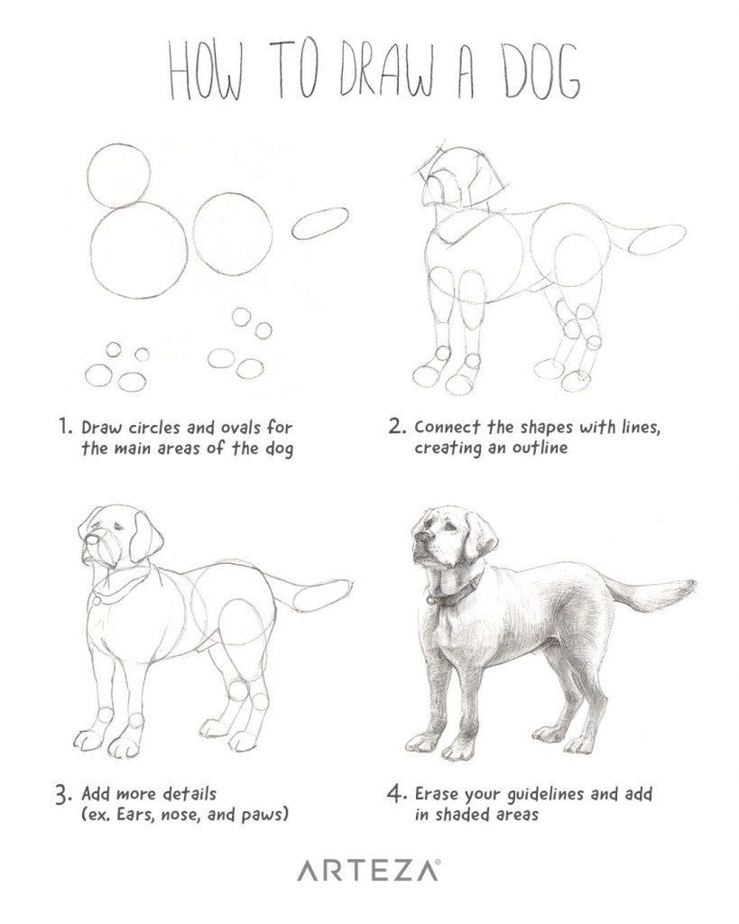 How to Draw a Dog? 10+ Drawing Tutorials - HARUNMUDAK