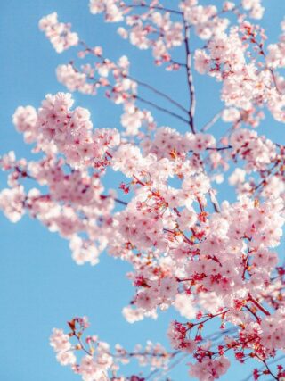 iphone aesthestetic wallpaper 1 Aesthetic iPhone Wallpapers - Top Free Aesthetic Backgrounds