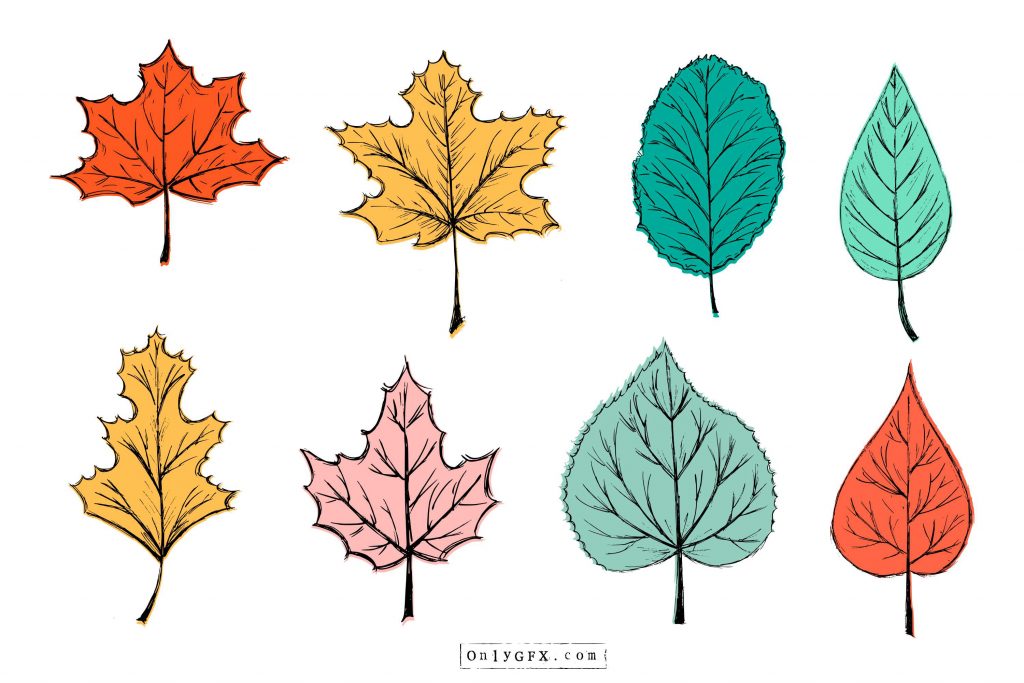 30+ Simple Leaf Drawing Ideas How To Draw Leaf? HARUNMUDAK