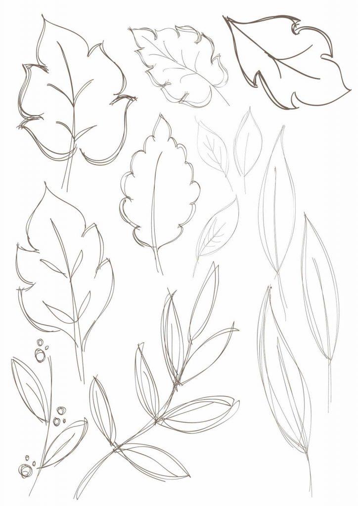 Simple Leaves Drawing