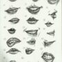 lips drawings 1 40+ How To Draw Lips Ideas - Step By Step Tutorials