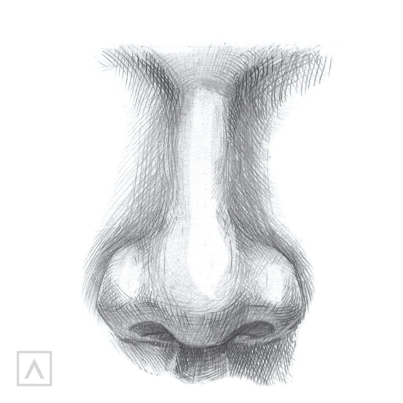 70+ Easy Nose Drawing Ideas 2022 - HARUNMUDAK