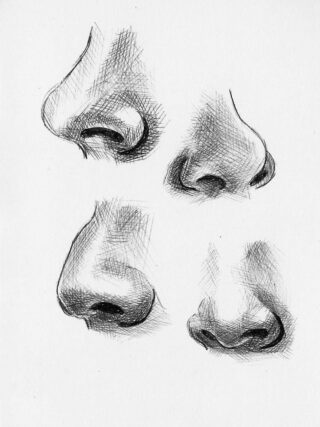 nose drawing 2 70+ Easy Nose Drawing Ideas 2025