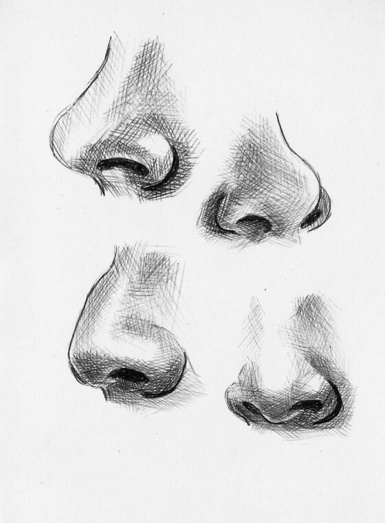 nose drawing 2 70+ Easy Nose Drawing Ideas 2024