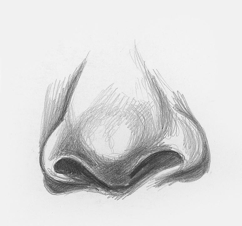 nose sketch female