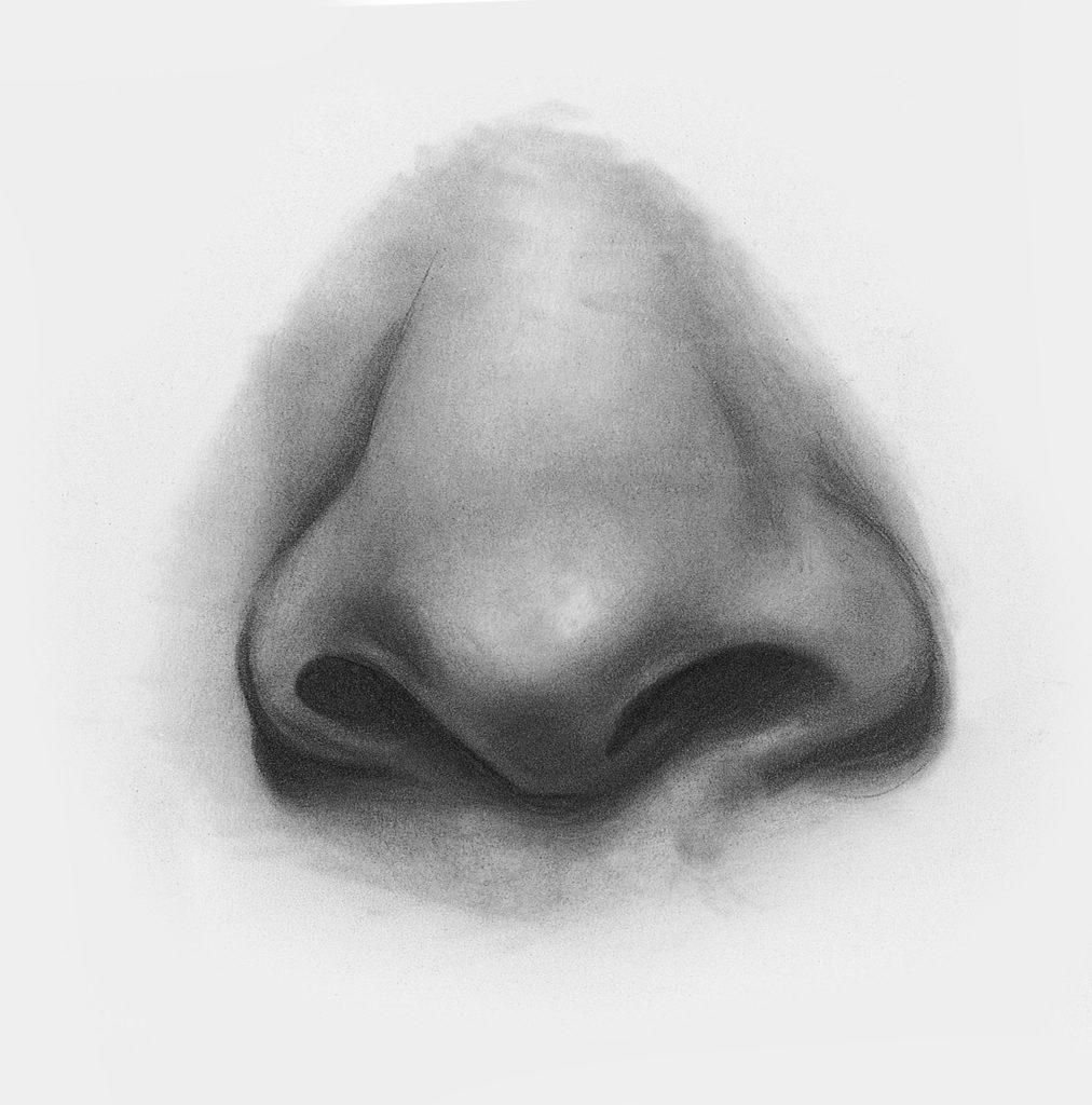 Drawing Realistic Noses With Pencil