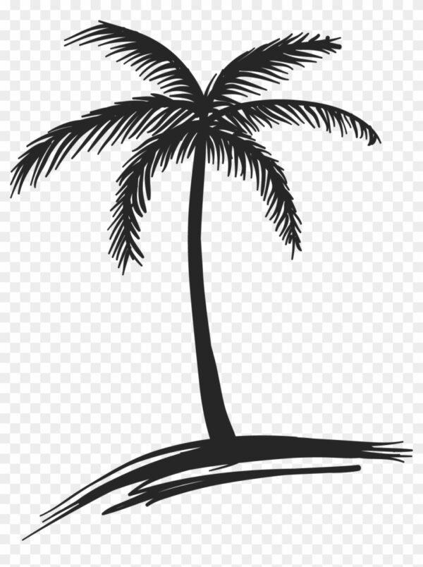 Palm Tree Drawing & Illustration Ideas - How To Draw Palm Tree ...