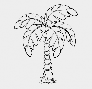 Palm Tree Drawing & Illustration Ideas - How To Draw Palm Tree