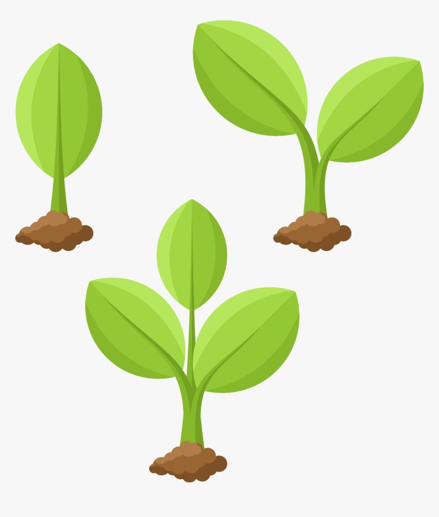 107,495 Drawing Plant Stock Photos - Free & Royalty-Free Stock Photos from  Dreamstime