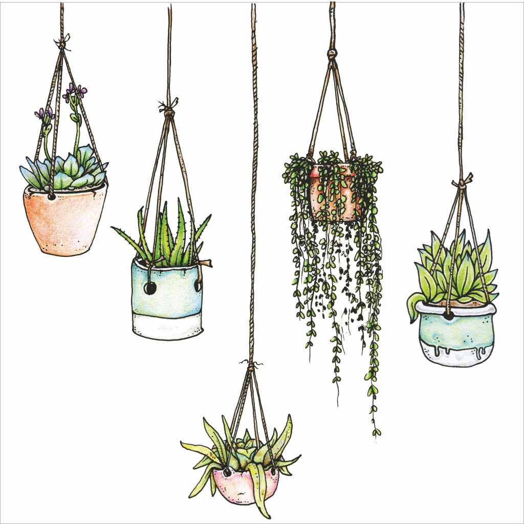 easy plant drawings