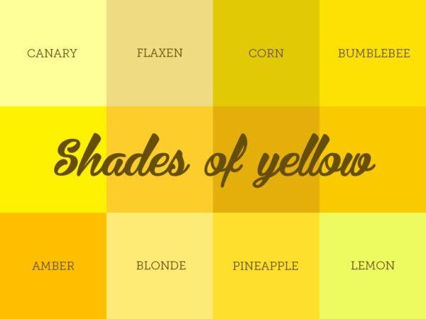 20+ Shades of Yellow Color Palette | HARUNMUDAK