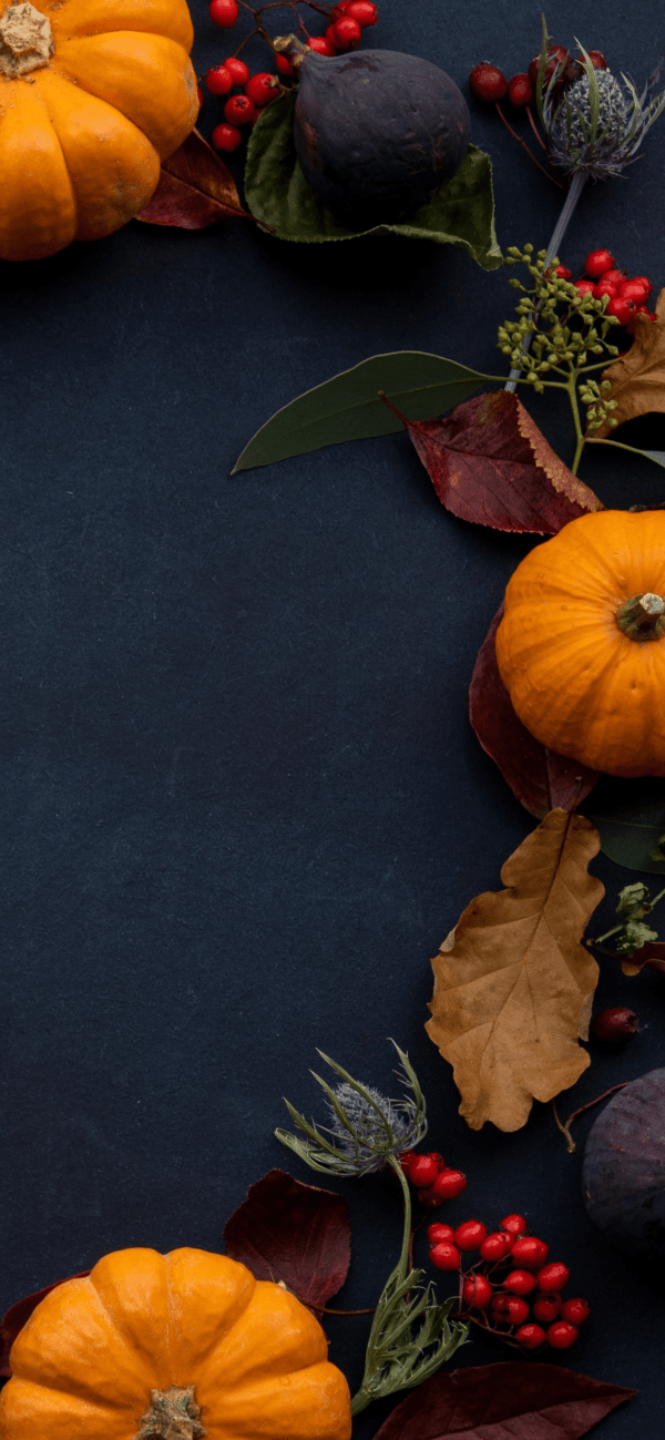 20+ HD Thanksgiving Wallpapers | Background Images - HARUNMUDAK