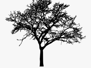 tree silhouette 1 Tree Silhouette Images & Drawings