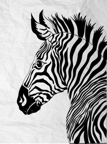 1000+ Black And White Drawing Pictures | Download Free Images on Unsplash
